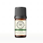 Aceite esencial de Menta 5 ml